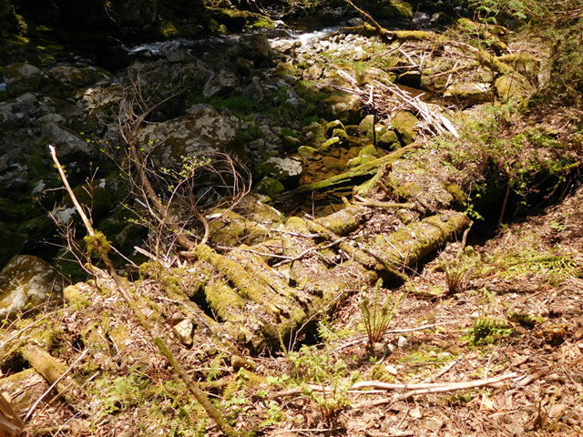 ���ː�X�ѓS��,�ѓS,�p����,�O����,�V��,�؋�