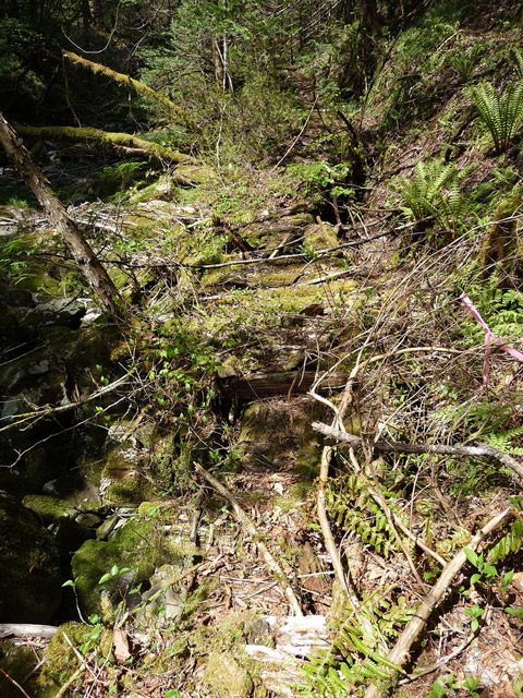 ���ː�X�ѓS��,�ѓS,�p����,�O����,�V��,����