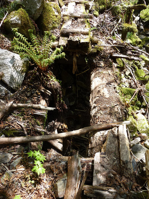 ���ː�X�ѓS��,�ѓS,�p����,�O����,�V��,����