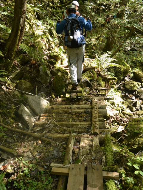 ���ː�X�ѓS��,�ѓS,�p����,�O����,�V��,����