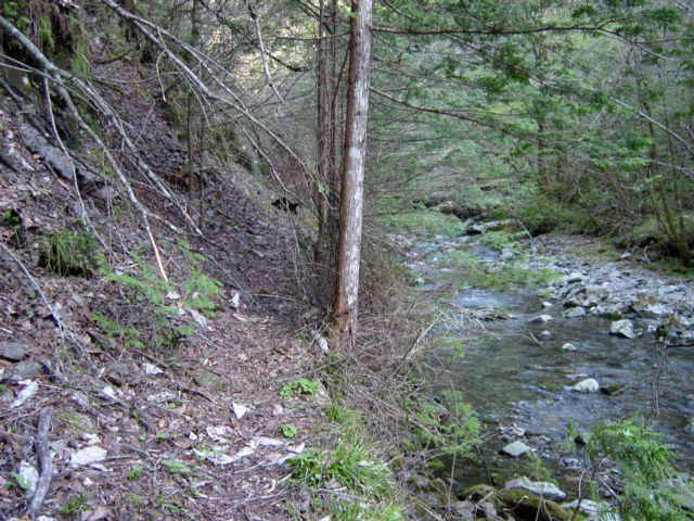 ���ː�X�ѓS��,�ѓS,�p����,���ґ�,�V����,���ꑺ