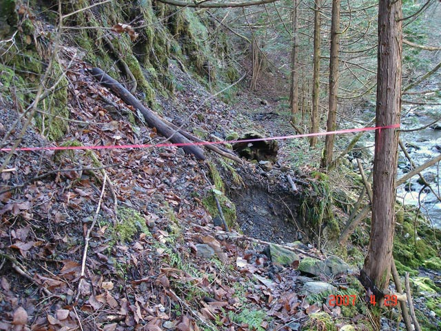 ���ː�X�ѓS��,�ѓS,�p����,���ґ�,�V����,���ꑺ