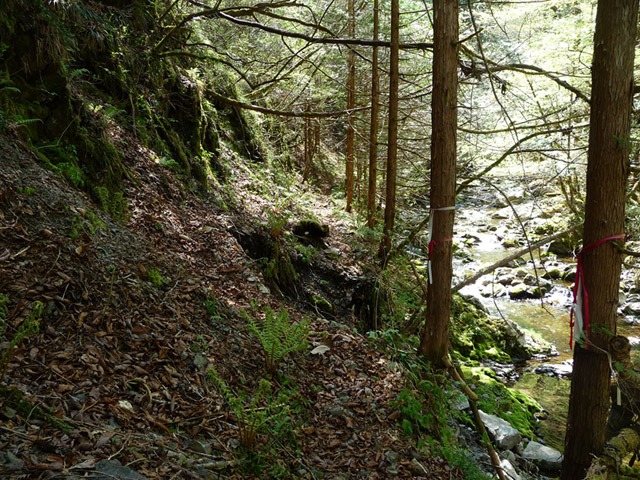 ���ː�X�ѓS��,�ѓS,�p����,���ґ�,�V����,���ꑺ