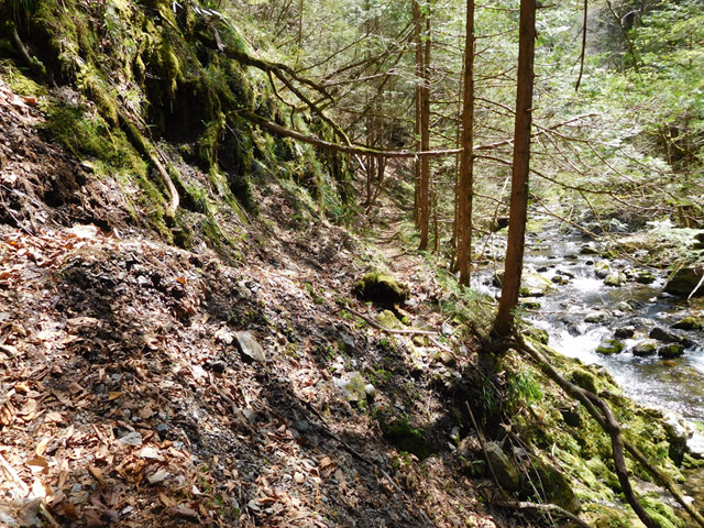 ���ː�X�ѓS��,�ѓS,�p����,���ґ�,�V����,���ꑺ