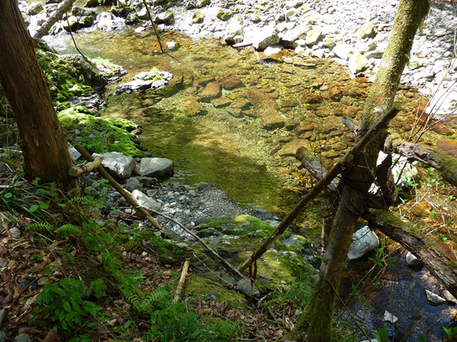 ���ː�X�ѓS��,�ѓS,�p����,���ґ�,�V����,���ꑺ