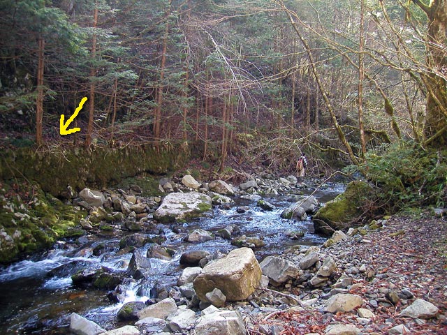 ���ː�X�ѓS��,�ѓS,�p����,���ґ�,�V����,���ꑺ