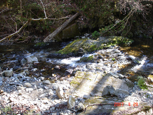 ���ː�X�ѓS��,�ѓS,�p����,���ґ�,������,�؋���,�k��