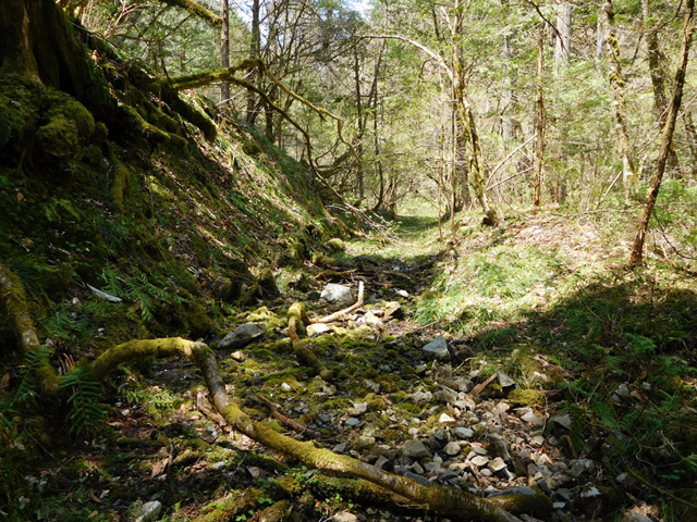 ���ː�X�ѓS��,�ѓS,�p����,�O����,���z,����c�я�