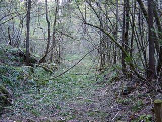 ���ː�X�ѓS��,�ѓS,�p����,�O����,����,�H��