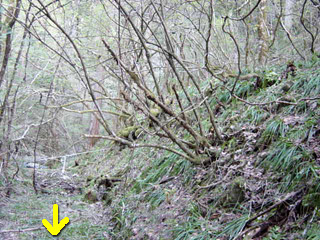 ���ː�X�ѓS��,�ѓS,�p����,�O����,����,�H��