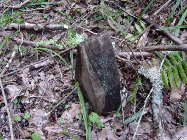 ���ː�X�ѓS��,�ѓS,�p����,�O����,���������W,�W��,�L���|�X�g