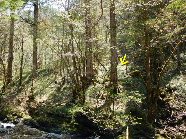 ���ː�X�ѓS��,�ѓS,�p����,�O����,�z��,�w�A�s���J�[�u