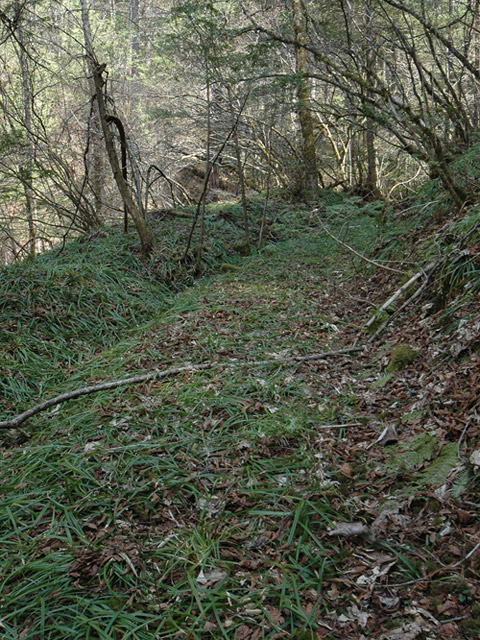 ���ː�X�ѓS��,�ѓS,�p����,�O����,����