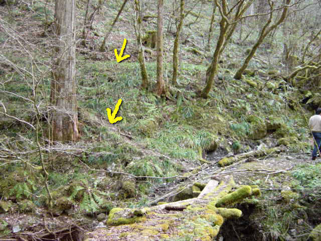 ���ː�X�ѓS��,�ѓS,�p����,�O����,����,�V����