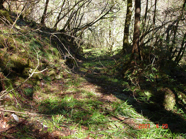 ���ː�X�ѓS��,�ѓS,�p����,�O����,����,�g���b�R��