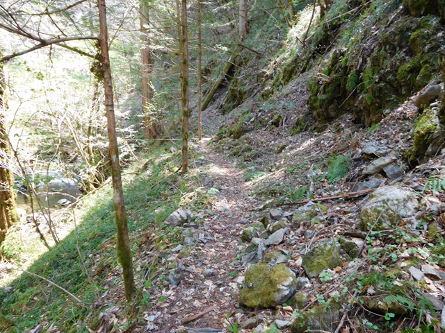 ���ː�X�ѓS��,�ѓS,�p����,�O����,����,�g���b�R��