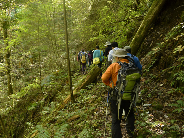 ���ː�X�ѓS��,�ѓS,�p����,�O����,����,�|��