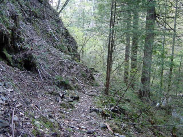 ���ː�X�ѓS��,�ѓS,�p����,�O����,����,�g���b�R��