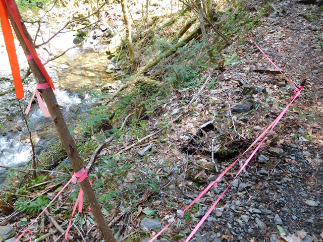 ���ː�X�ѓS��,�ѓS,�p����,�O����,�V��,�؋�,���ґ�