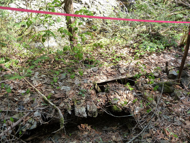 ���ː�X�ѓS��,�ѓS,�p����,�O����,�V��,�؋�,����c�я�