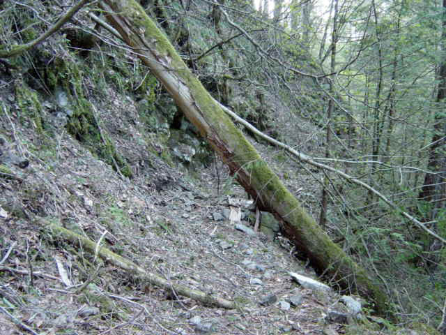 ���ː�X�ѓS��,�ѓS,�p����,�O����,�g���b�R��,����c�я�