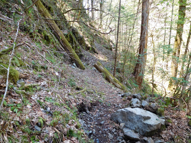 ���ː�X�ѓS��,�ѓS,�p����,�O����,�g���b�R��,����c�я�