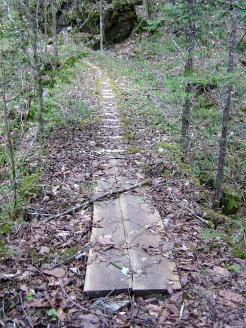 ���ː�X�ѓS��,�ѓS,�p����,�g���b�R��,�ΒM�򋴗�,�؋�,�ؑ]�X