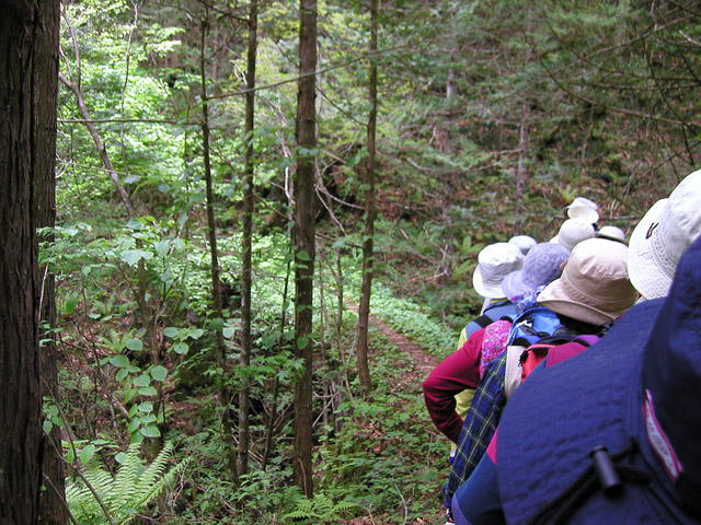 ���ː�X�ѓS��,�ѓS,�p����,�g���b�R��,�ΒM�򋴗�,�؋�,�ؑ]�X