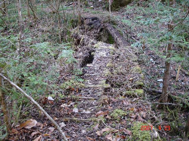 ���ː�X�ѓS��,�ѓS,�p����,�g���b�R��,�ΒM�򋴗�,�؋�,�ؑ]�X