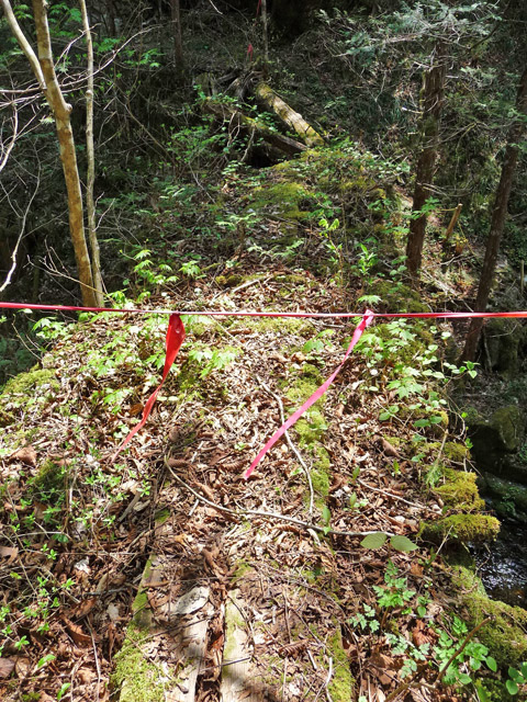 ���ː�X�ѓS��,�ѓS,�p����,��_�ϑ�,�ΒM�򋴗�,�؋�,�ؑ]�X