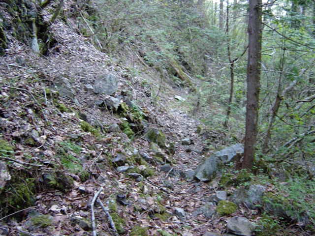 ���ː�X�ѓS��,�ѓS,�p����,�g���b�R��,�ΒM�򋴗�,�O����,�ؑ]�X