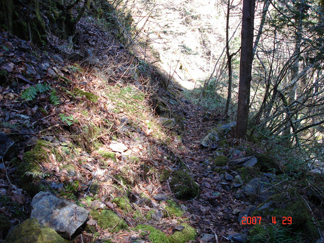 ���ː�X�ѓS��,�ѓS,�p����,�g���b�R��,�ΒM�򋴗�,�O����,�ؑ]�X