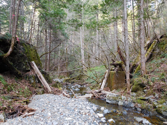 ���ː�X�ѓS��,�ѓS,�p����,�؋�,�ΒM�򋴗�,�ؑ�����,�P��