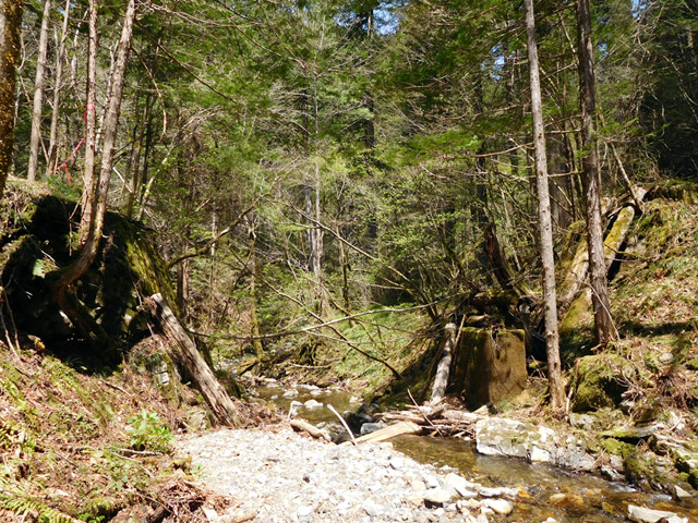 ���ː�X�ѓS��,�ѓS,�p����,�؋�,�ΒM�򋴗�,�ؑ�����,�P��