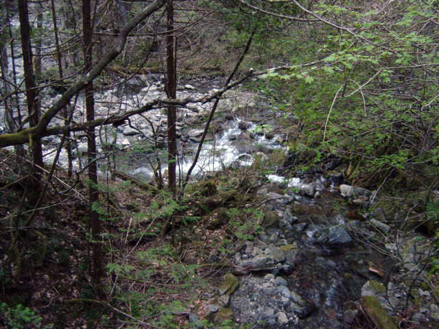 ���ː�X�ѓS��,�ѓS,�p����,�؋�,���ґ�,�ΒM��,����