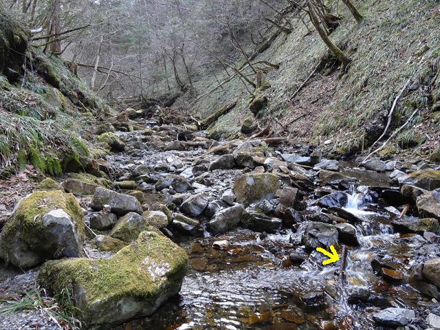 ���ː�X�ѓS��,�ѓS,�p����,���[��,�ΒM��,�ؑ]�X,����c�я�