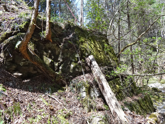 ���ː�X�ѓS��,�ѓS,�p����,�؋�,�ΒM�򋴗�,����