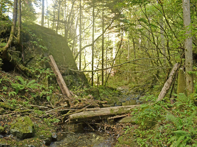 ���ː�X�ѓS��,�ѓS,�p����,�؋�,�ΒM�򋴗�,����