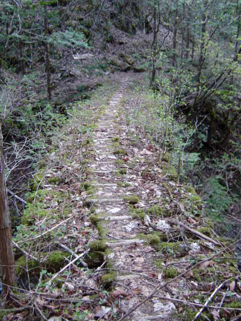 ���ː�X�ѓS��,�ѓS,�p����,�؋�,�ΒM�򋴗�,�ؑ�����,�ؑ]�X