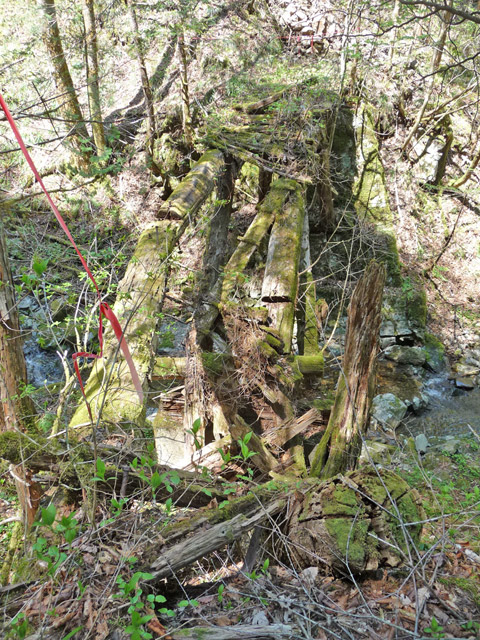 ���ː�X�ѓS��,�ѓS,�p����,�؋�,�ΒM�򋴗�,�ؑ�����,�ؑ]�X