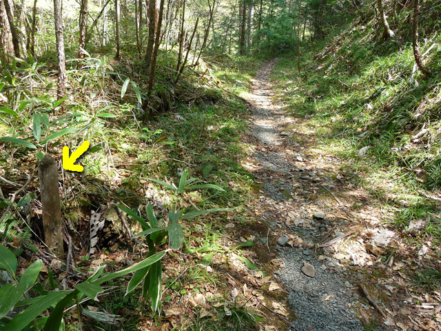 ���ː�X�ѓS��,�ѓS,�p����,�O����,�Ȑ��W,����c�я�