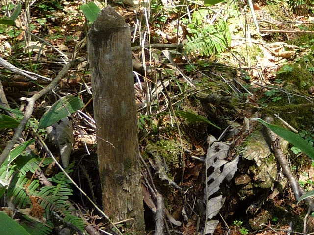 ���ː�X�ѓS��,�ѓS,�p����,�O����,�Ȑ��W,����c�я�