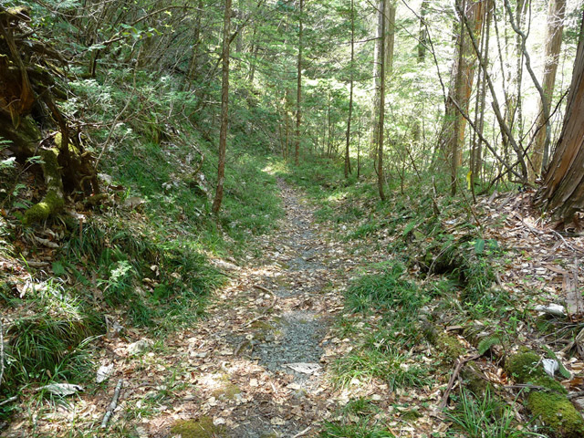 ���ː�X�ѓS��,�ѓS,�p����,�O����,�H��,����