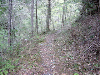 ���ː�X�ѓS��,�ѓS,�p����,�O����,���z,�Ȑ�