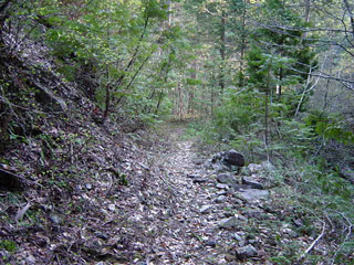 ���ː�X�ѓS��,�ѓS,�p����,�O����,�H��,����