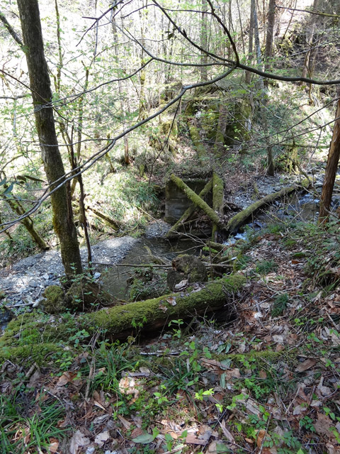 ���ː�X�ѓS��,�ѓS,�p����,�O����,���R�򋴗�,�؋�