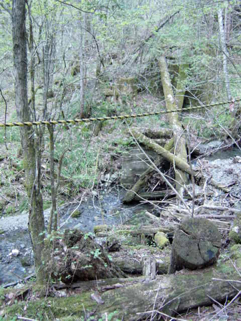 ���ː�X�ѓS��,�ѓS,�p����,�O����,���R�򋴗�,�؋�