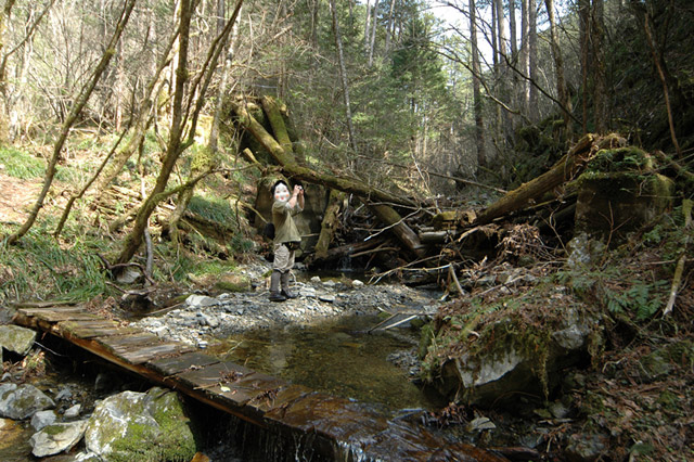 ���ː�X�ѓS��,�ѓS,�p����,�O����,�ۑ���,�V����