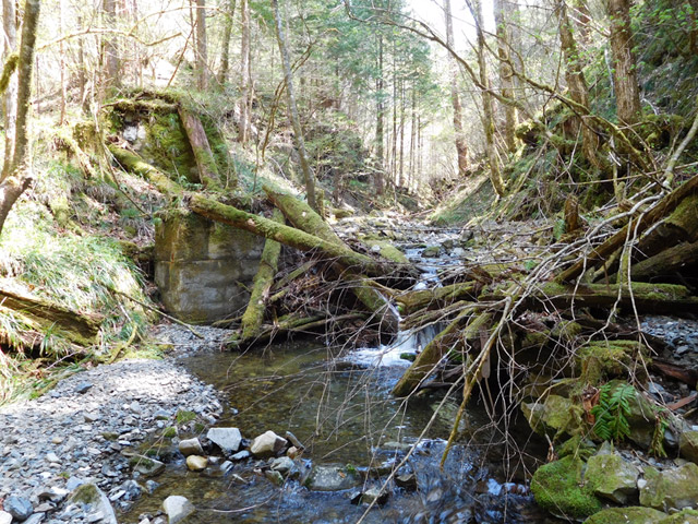 ���ː�X�ѓS��,�ѓS,�p����,�؋�,���R�򋴗�,�ؑ�����