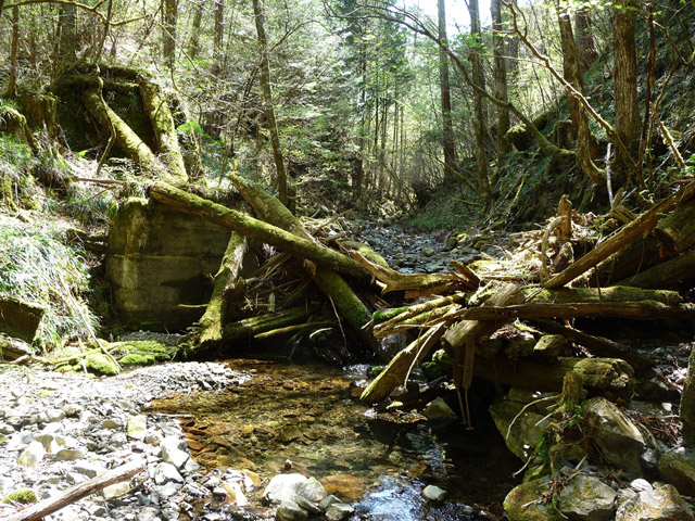 ���ː�X�ѓS��,�ѓS,�p����,�؋�,���R�򋴗�,�ؑ�����